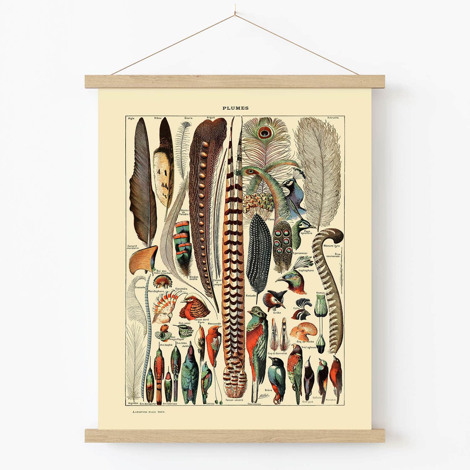 Boho Feathers Art Print in Wood Hanger Frame on Wall