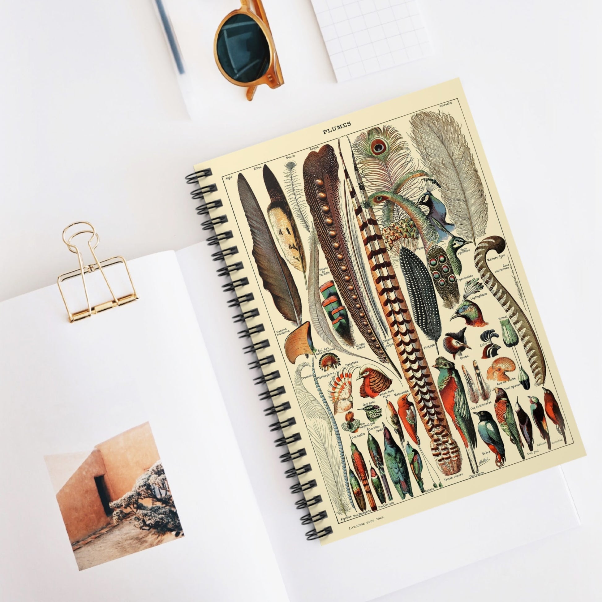 Feathers Spiral Notebook Displayed on Desk
