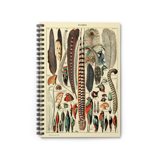 Feathers Notebook with Boho Chic Aesthetic cover, ideal for journaling and planning, featuring boho chic feather designs.