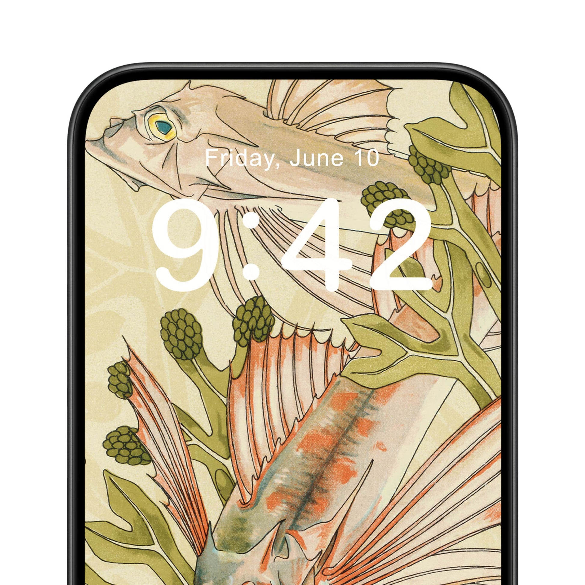 Fish in Seaweed Phone Wallpaper Close Up