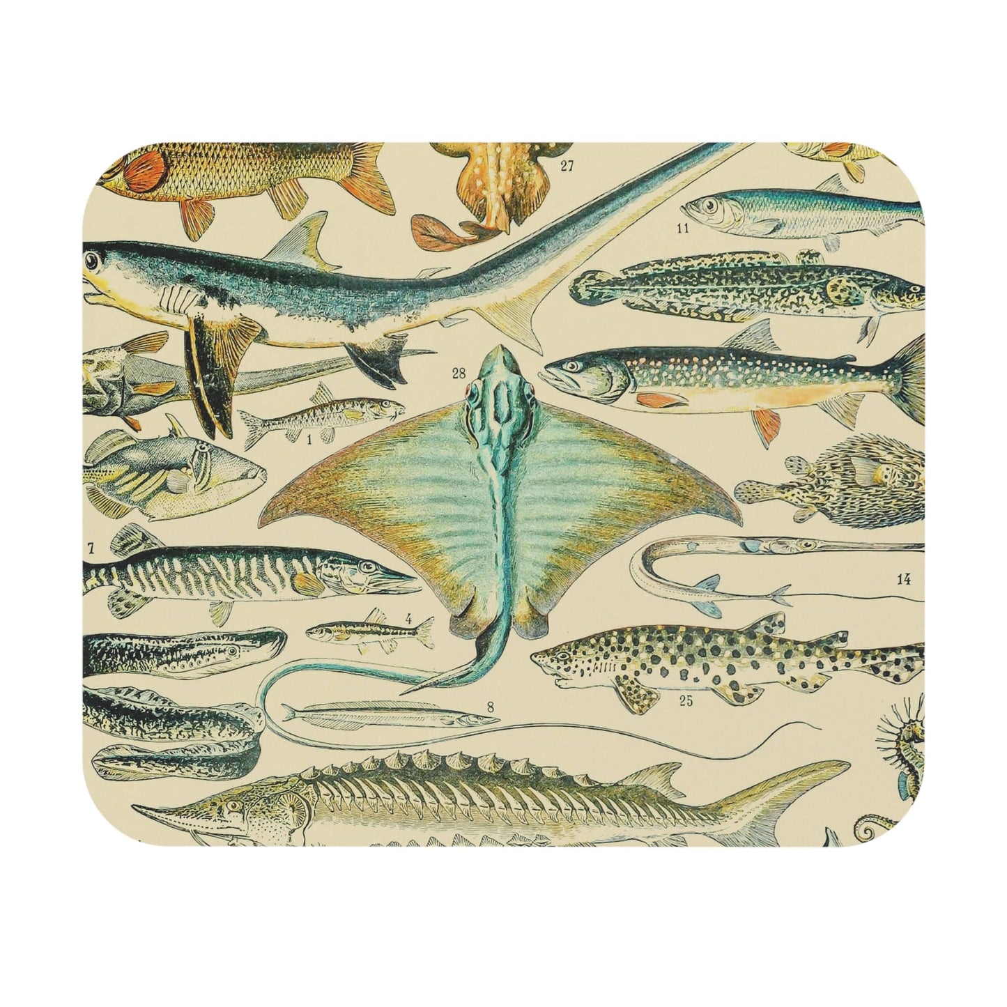 Fishing Mouse Pad highlighting types of fish art, enhancing desk and office decor.