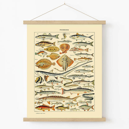 Diagram of Fish Art Print in Wood Hanger Frame on Wall