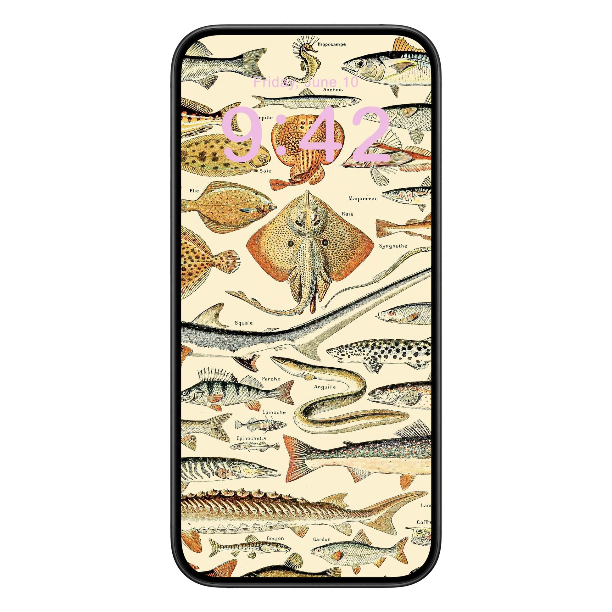 Fishing Phone Wallpaper Pink Text