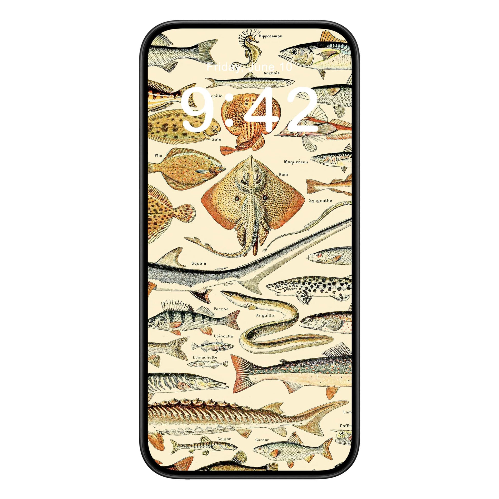 Fishing phone wallpaper background with types of fish chart design shown on a phone lock screen, instant download available.