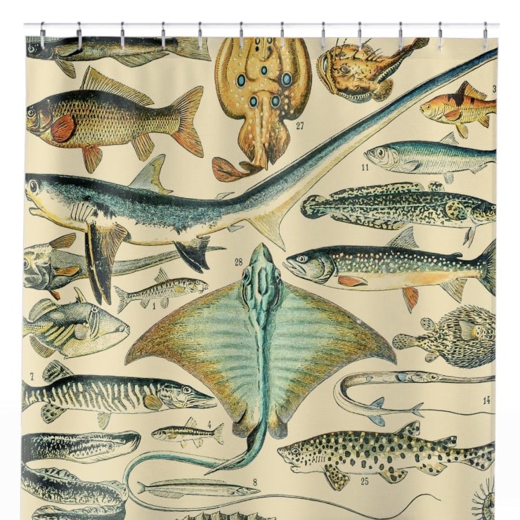 Fishing Shower Curtain Close Up, Science Shower Curtains