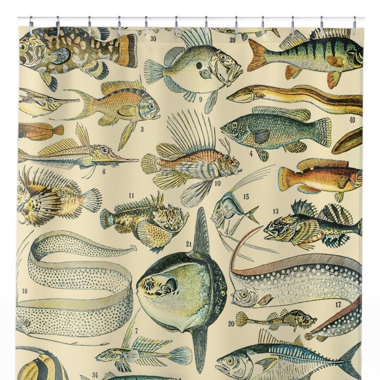 Fishing Shower Curtain Close Up, Science Shower Curtains