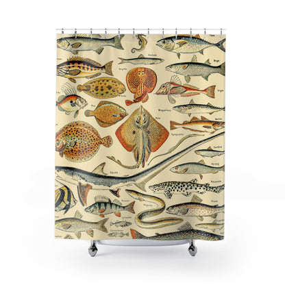 Fishing Shower Curtain with types of fish chart design, educational bathroom decor showcasing different fish charts.