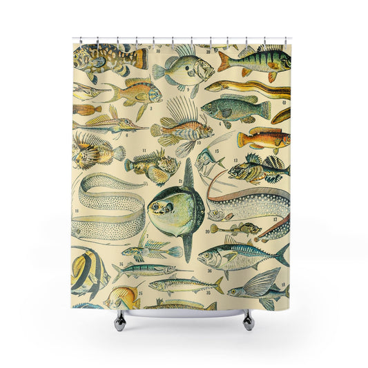 Fishing Shower Curtain with unique fish chart design, educational bathroom decor showcasing detailed fish illustrations.
