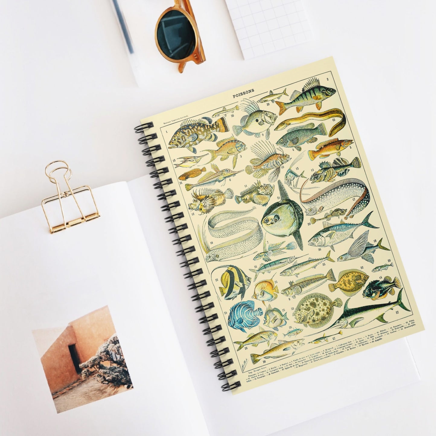 Fishing Spiral Notebook Displayed on Desk