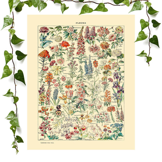 Cute wildflowers art print, perfect for a vintage flower poster wall art.
