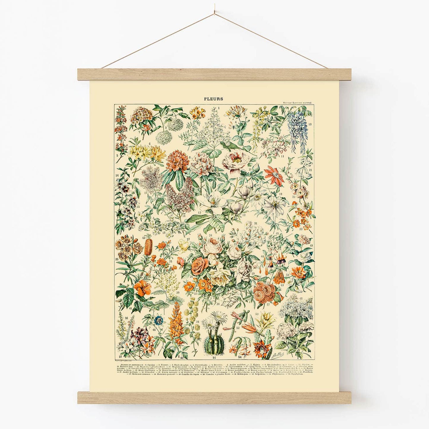 Flowers and Plants Art Print in Wood Hanger Frame on Wall