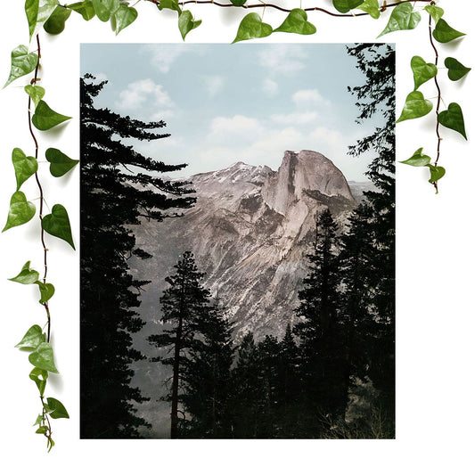 Yosemite Valley art prints featuring a south dome, vintage wall art room decor
