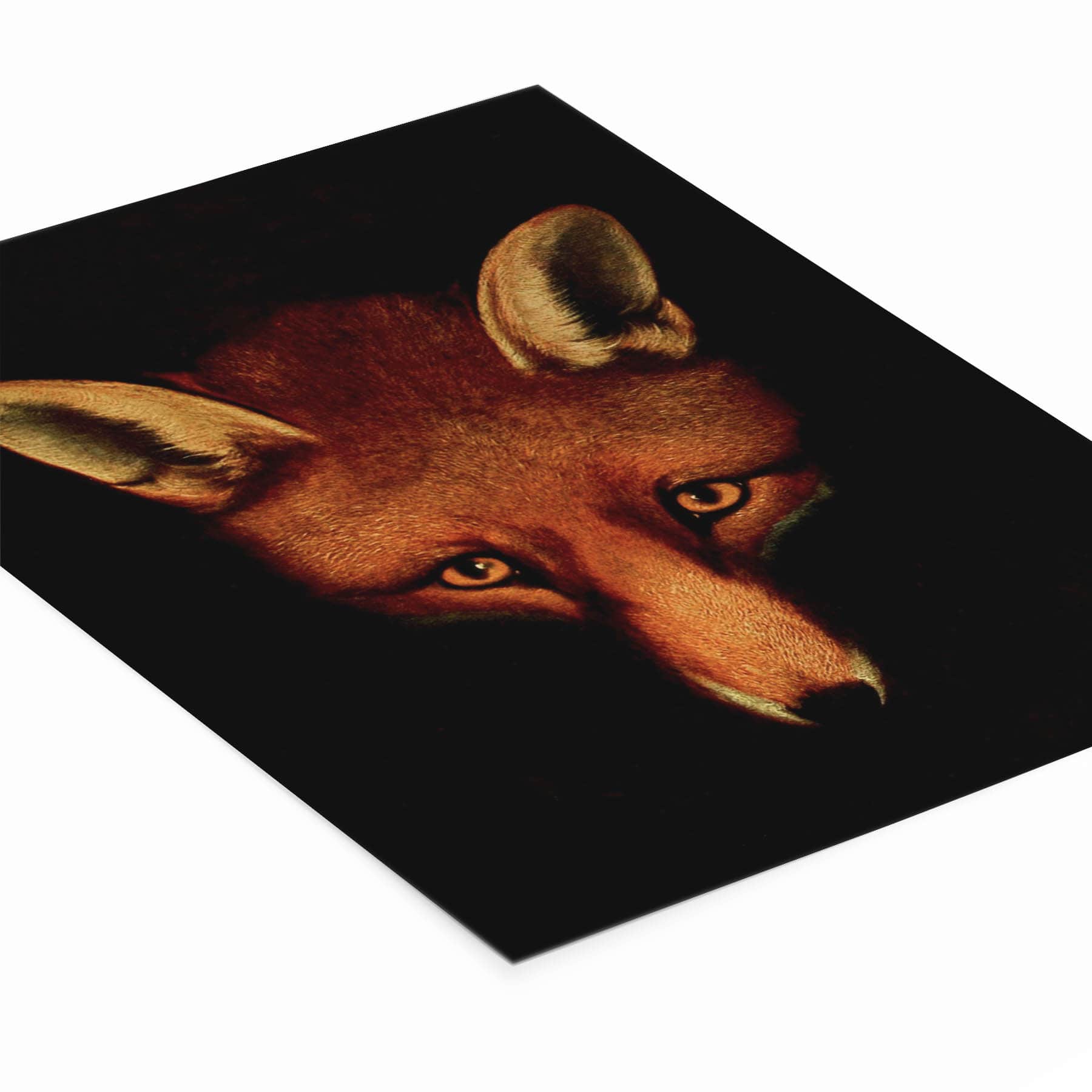Large Red Fox Head Painting Laying Flat on a White Background