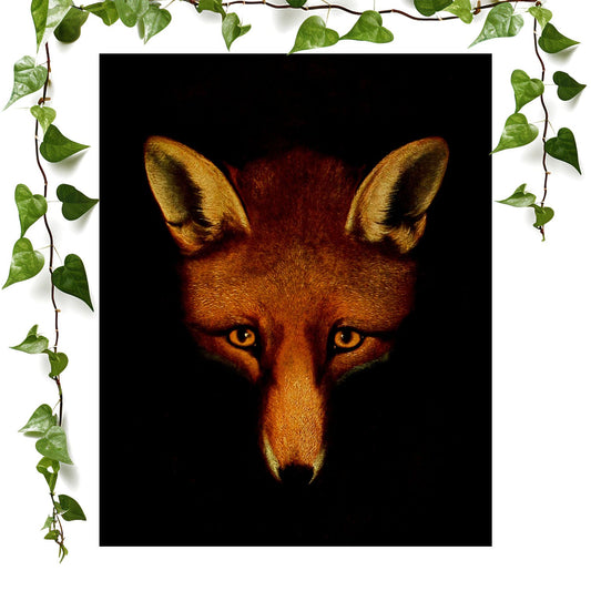 Red Fox art prints featuring a reynard the fox, vintage wall art room decor