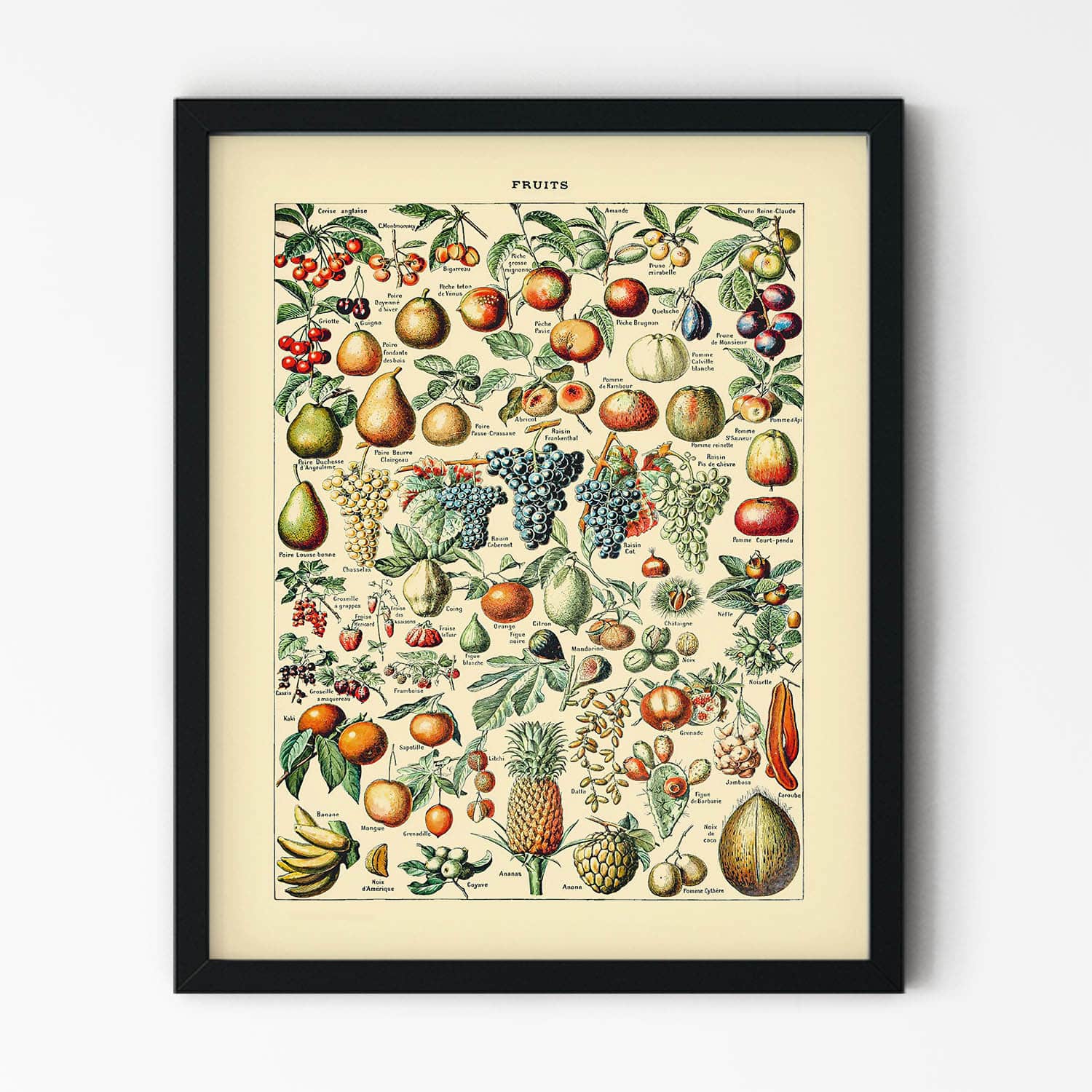 Tropical Fruits Painting in Black Picture Frame