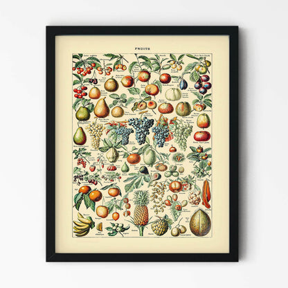 Tropical Fruits Painting in Black Picture Frame