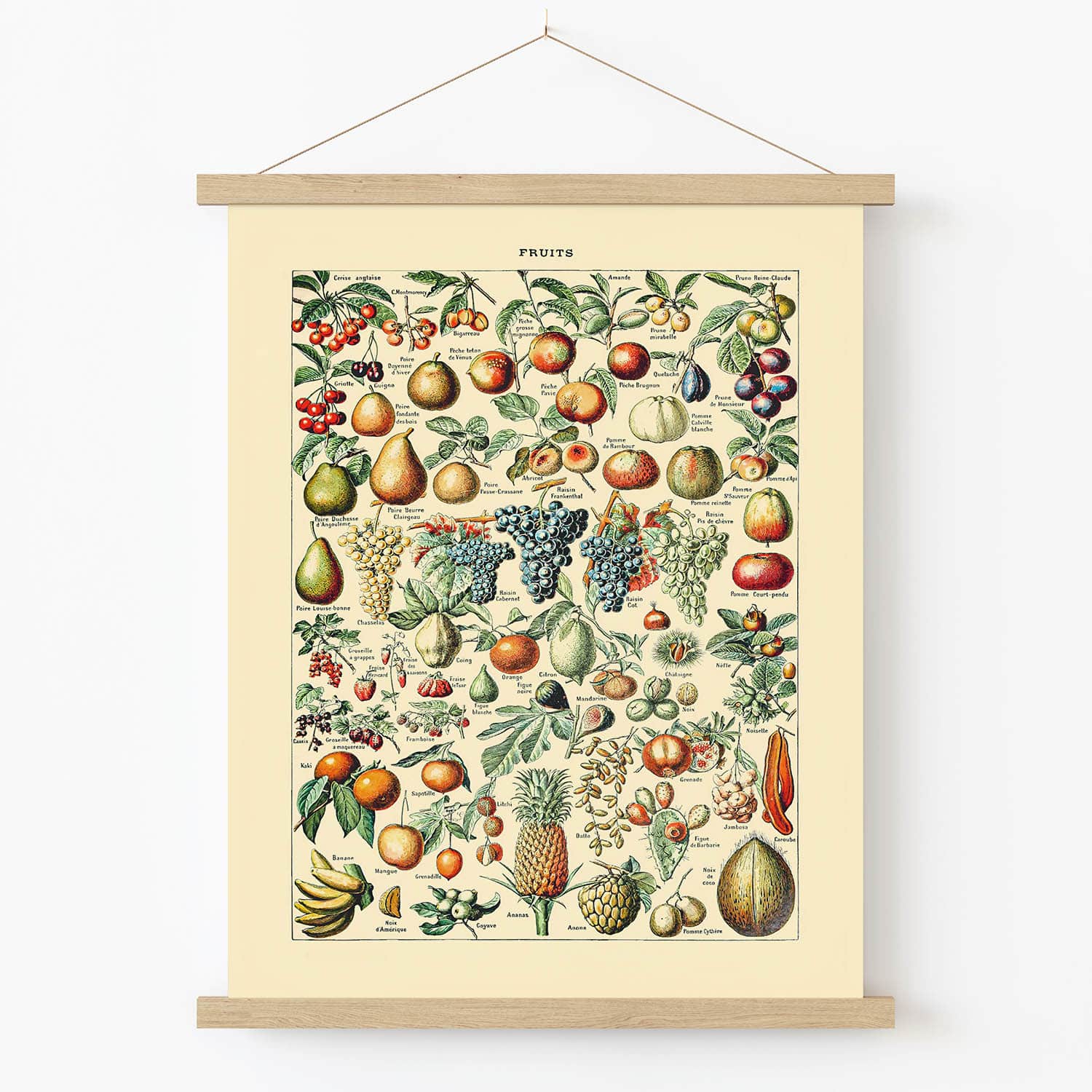 Tropical Fruits Art Print in Wood Hanger Frame on Wall