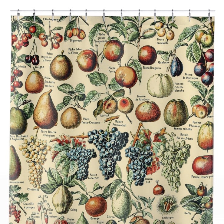 Fruit Diagram Shower Curtain Close Up, Botanical Shower Curtains