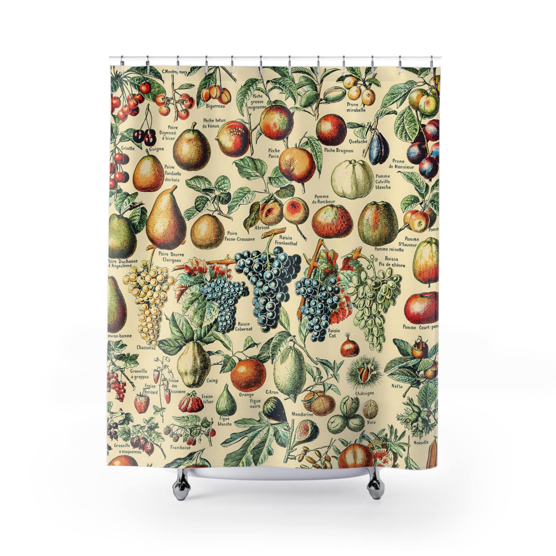 Fruit Diagram Shower Curtain with tropical fruit chart design, vibrant bathroom decor featuring tropical fruit illustrations.