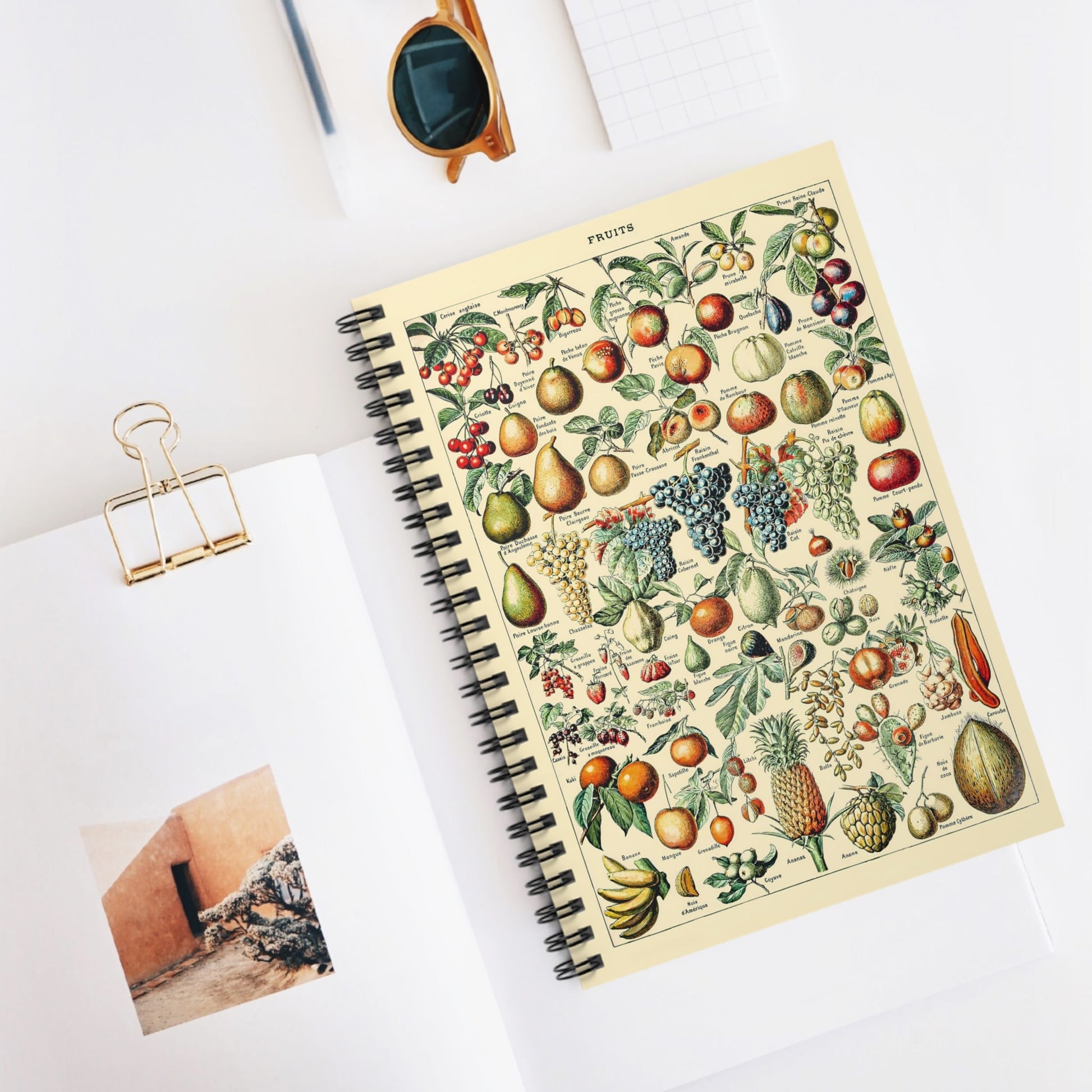 Fruit Diagram Spiral Notebook Displayed on Desk