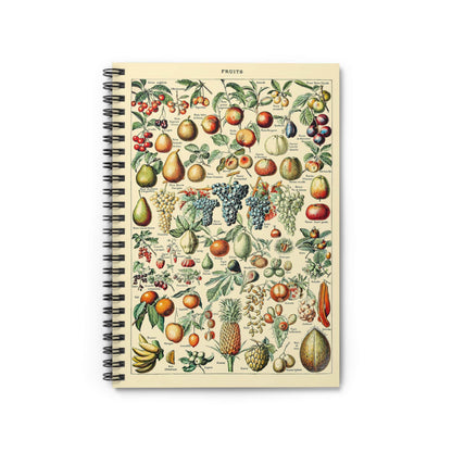 Fruit Diagram Notebook with Tropical Fruit Chart cover, great for journaling and planning, highlighting tropical fruit diagrams.