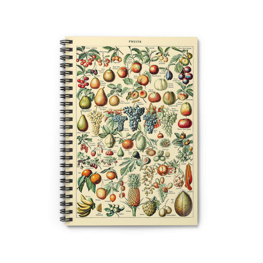 Fruit Diagram Notebook with Tropical Fruit Chart cover, great for journaling and planning, highlighting tropical fruit diagrams.