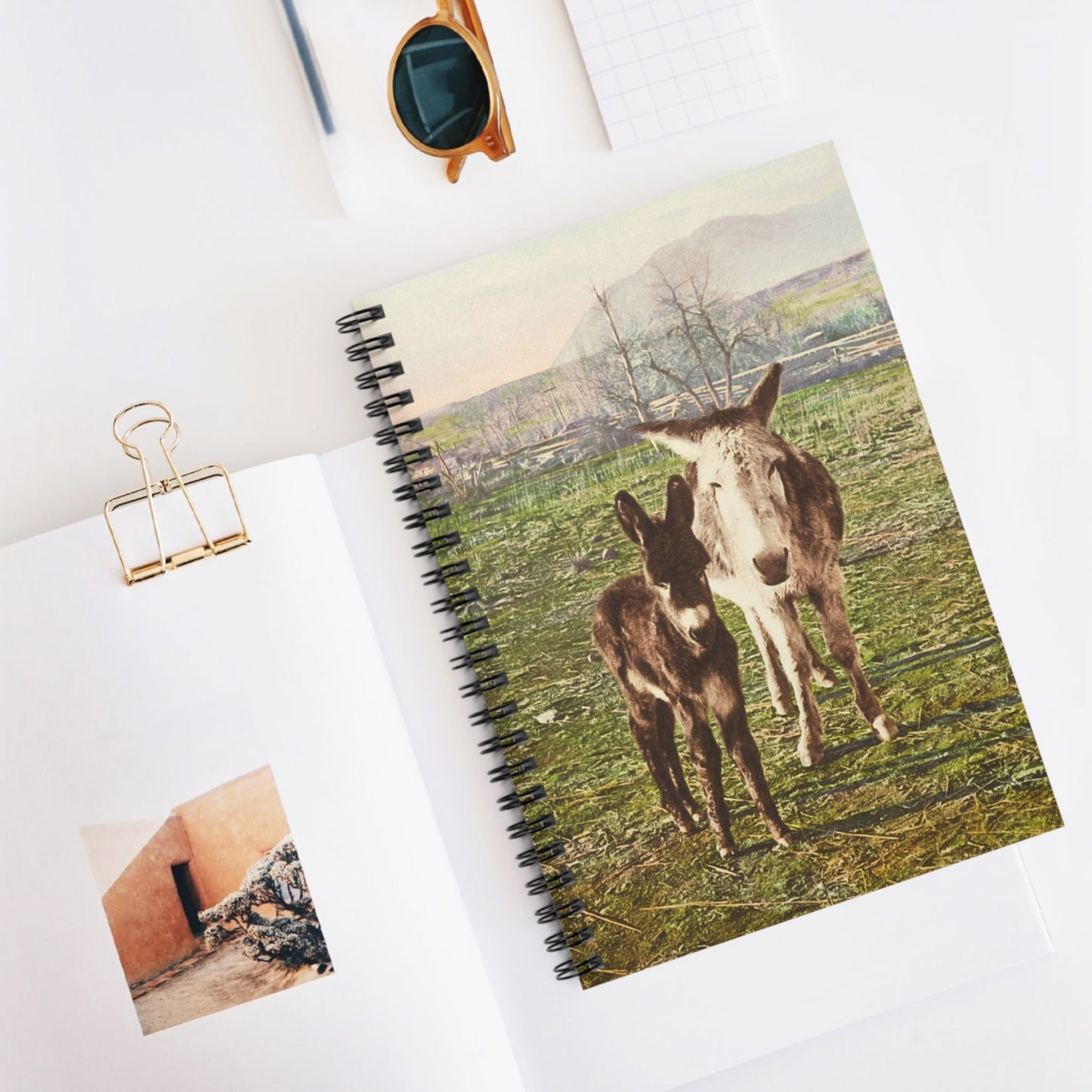 Funny Animal Spiral Notebook Displayed on Desk