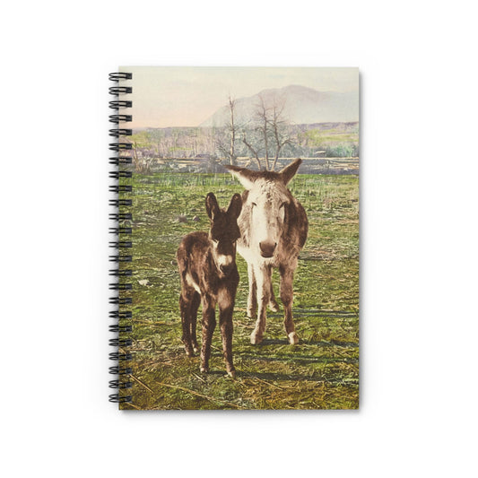 Funny Animal Notebook with Two Donkey's cover, perfect for journaling and planning, featuring humorous illustrations of two donkeys.