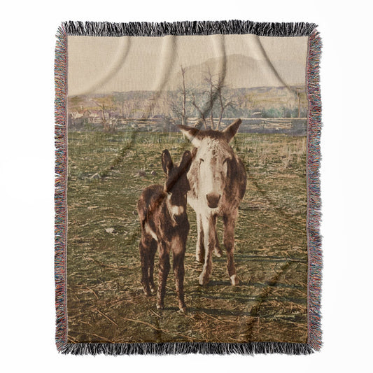Funny Animal woven throw blanket, made of 100% cotton, featuring a soft and cozy texture with two donkeys for home decor.