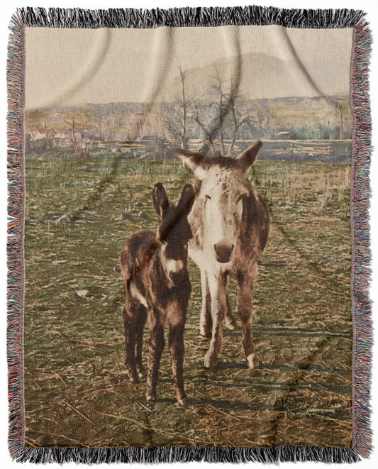 Funny Animal woven throw blanket, made of 100% cotton, featuring a soft and cozy texture with two donkeys for home decor.
