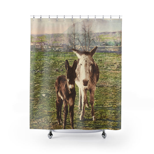 Funny Animal Shower Curtain with two donkeys design, playful bathroom decor featuring humorous animal art.