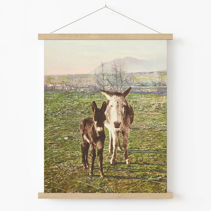 Two Donkey's in the Mountains Art Print in Wood Hanger Frame on Wall