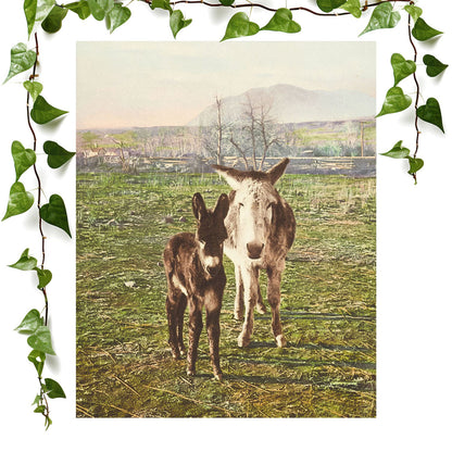 Funny Animal art print featuring two donkey's, vintage wall art room decor
