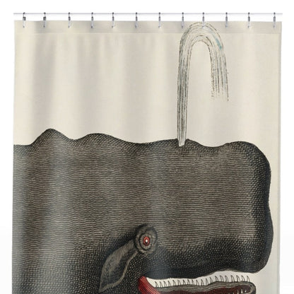 Funny Whale Shower Curtain Close Up, Humor and Fun Shower Curtains