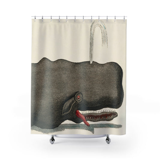Funny Whale Shower Curtain with crazy gray whale design, whimsical bathroom decor featuring humorous whale art.