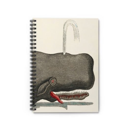 Funny Whale Notebook with Crazy Gray Whale cover, perfect for journaling and planning, showcasing a humorous illustration of a crazy gray whale.