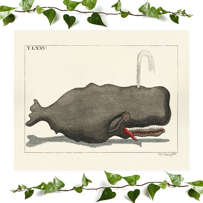 Funny Whale art prints featuring a crazy gray wale, vintage wall art room decor