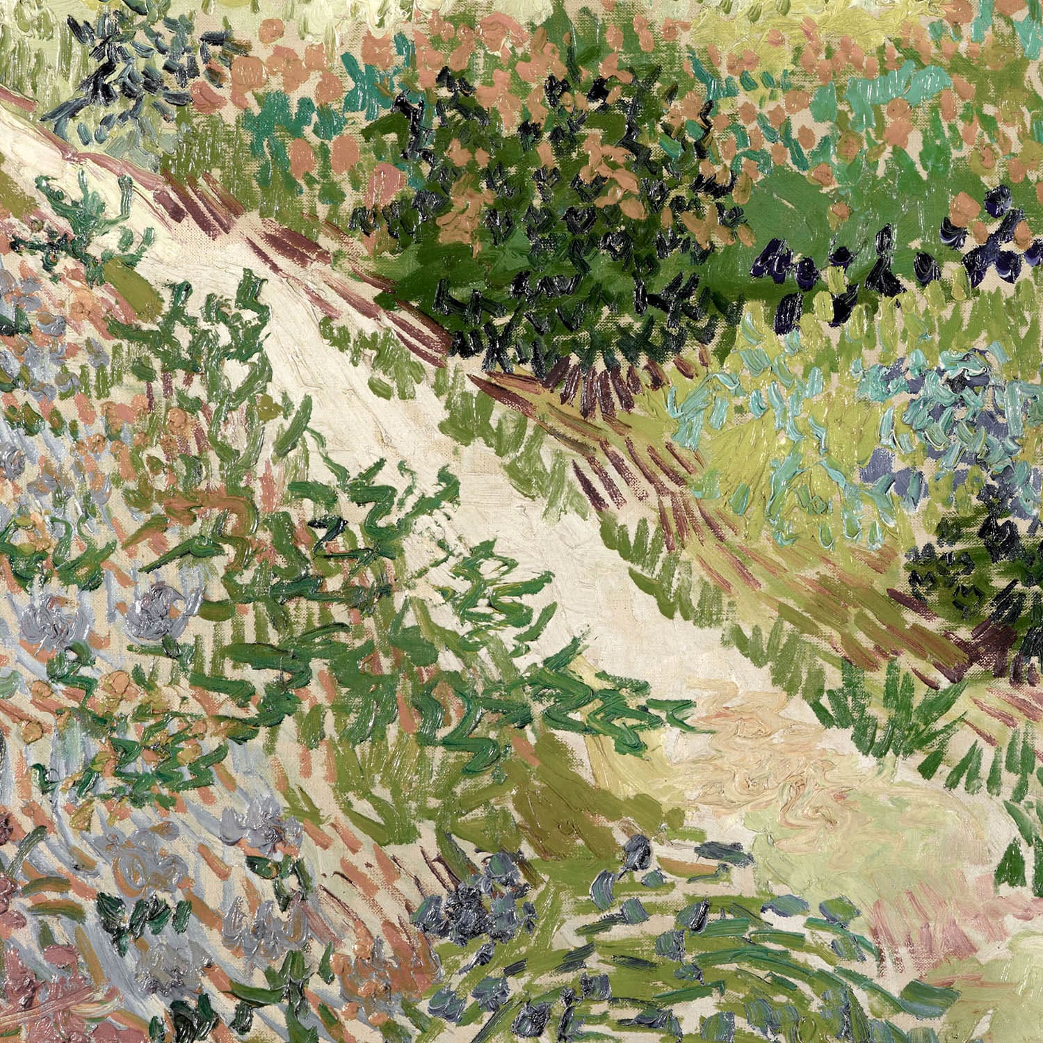 Garden at Arles Vincent Van Gogh Art Print Close Up Detail Shot