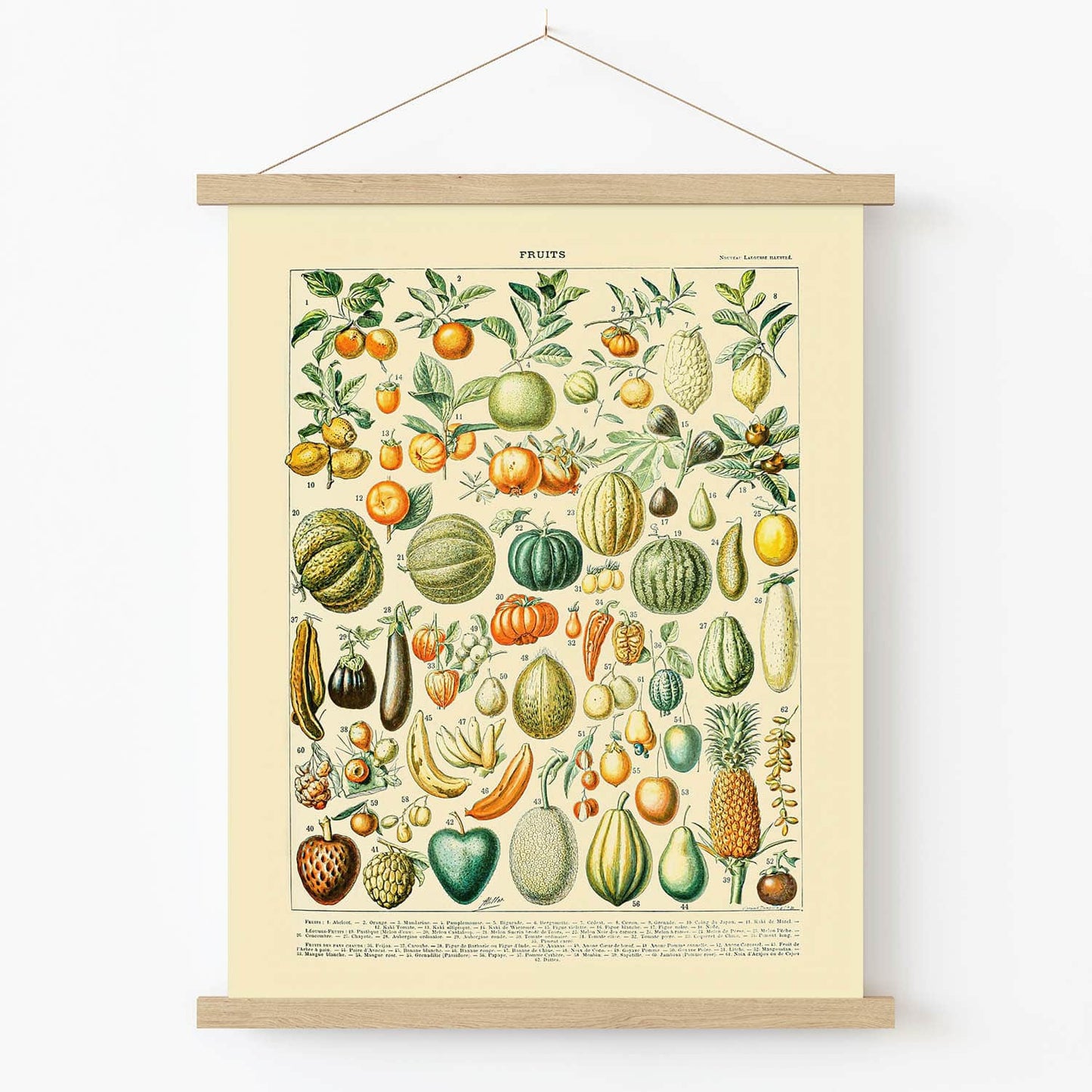 Autumn Plants Art Print in Wood Hanger Frame on Wall