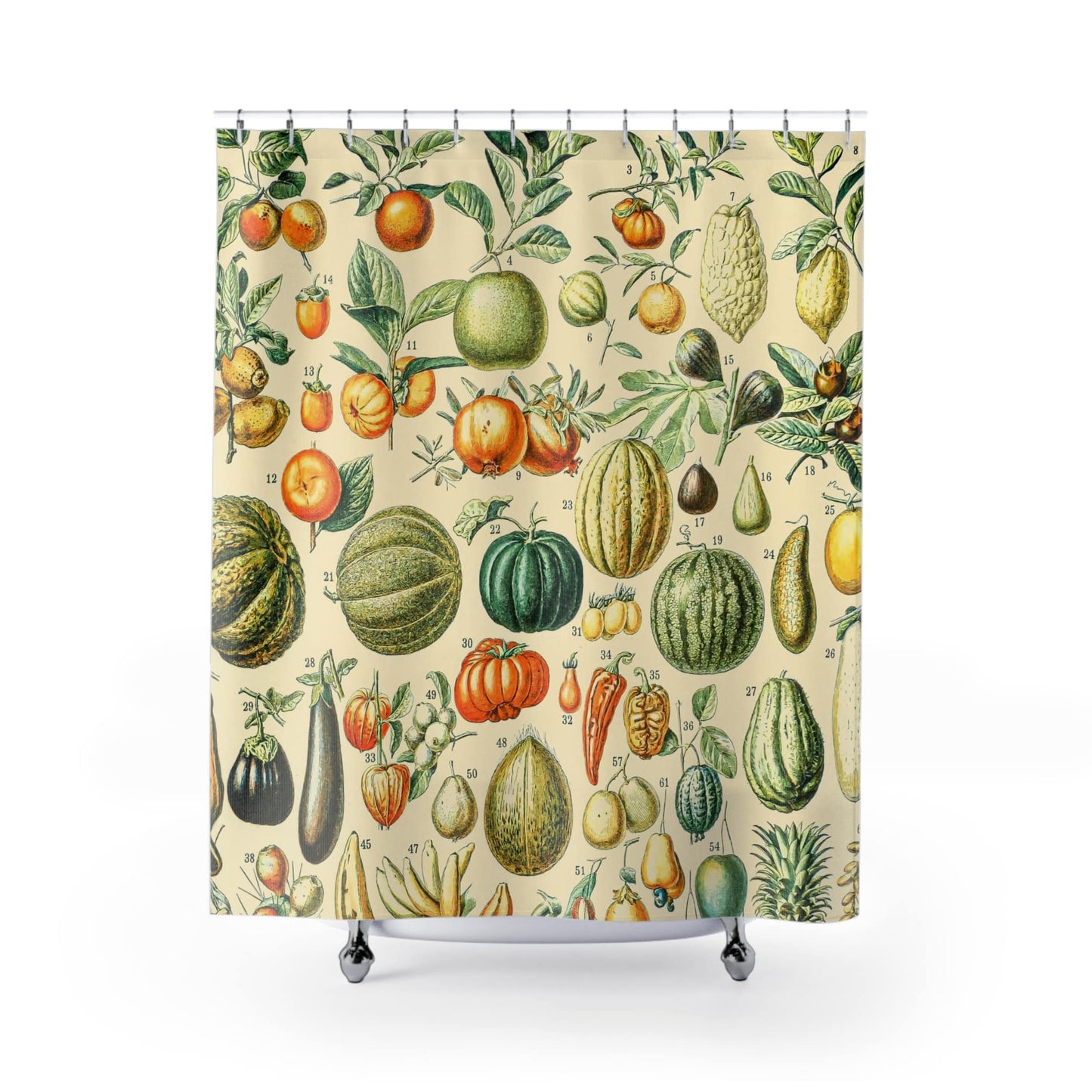 Harvest Shower Curtain with fruit chart design, educational bathroom decor showcasing various fruit species.