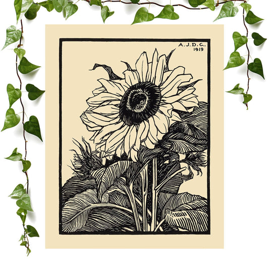 Sunflower art prints featuring a ink drawing, vintage wall art room decor