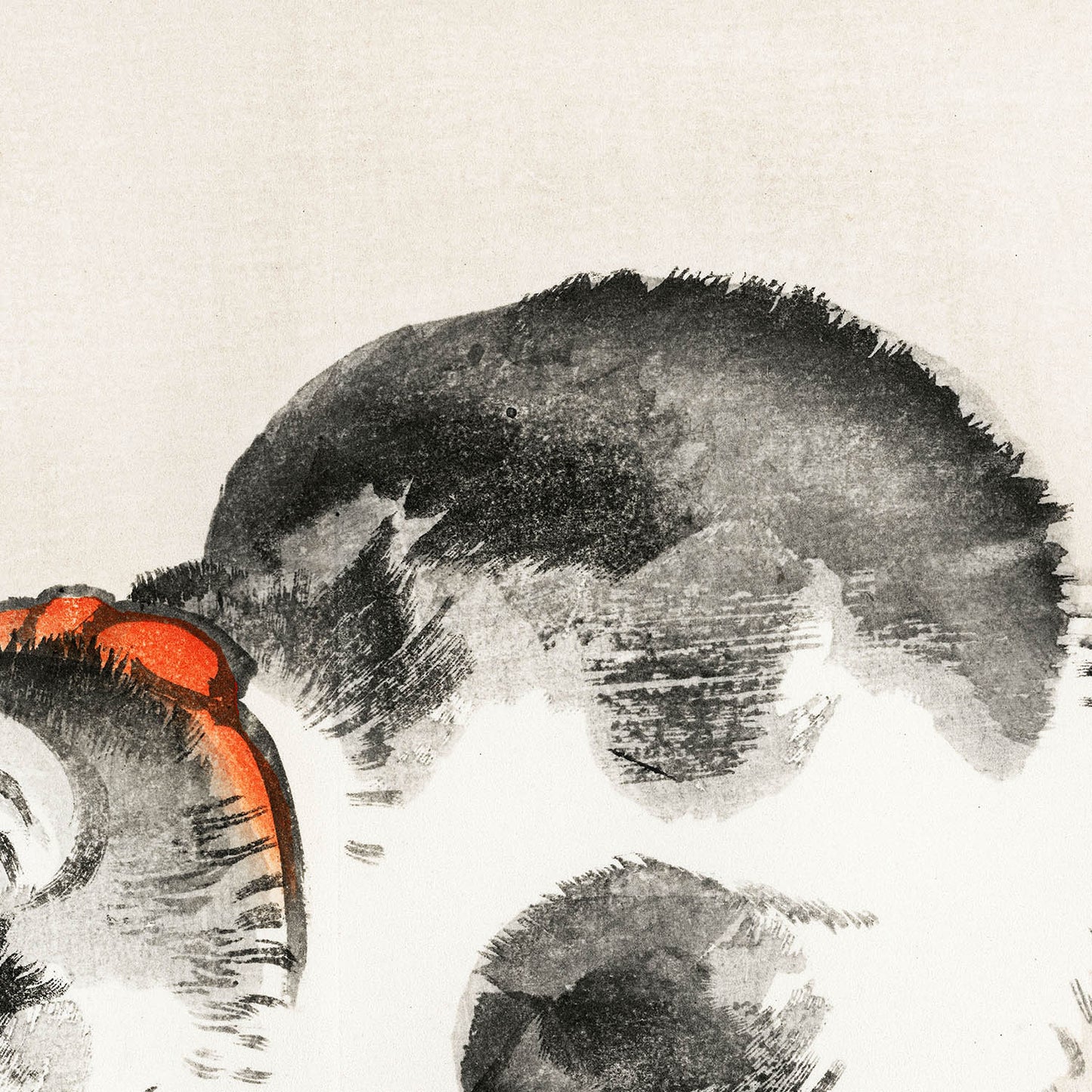 Japanese Black and White Cat Art Print Close Up Detail Shot 2