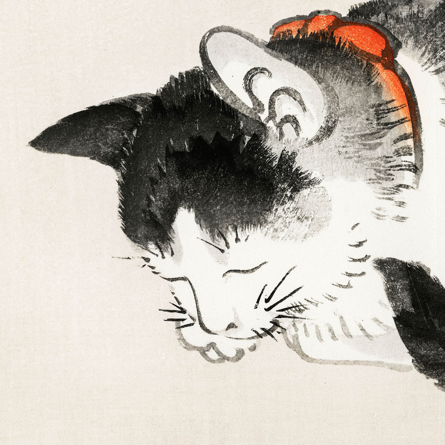 Japanese Black and White Cat Art Print Close Up Detail Shot