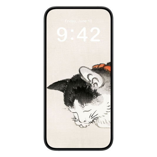 Japanese Black and White Cat phone wallpaper background with minimalist design shown on a phone lock screen, instant download available.