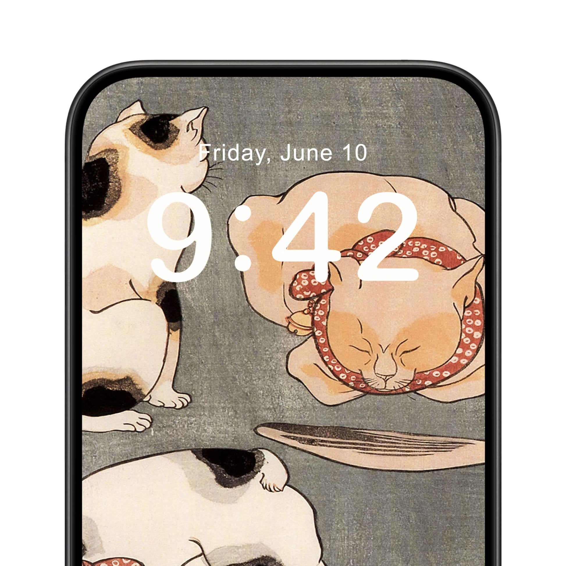 Japanese Cats Phone Wallpaper Close Up