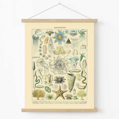 Sea Life Art Print in Wood Hanger Frame on Wall