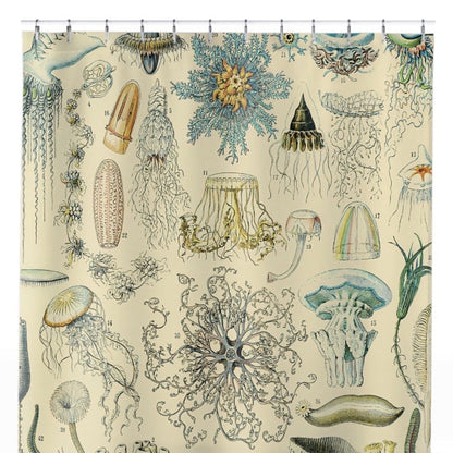 Jelly Fish Shower Curtain Close Up, Science Shower Curtains