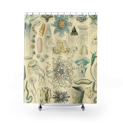 Jelly Fish Shower Curtain with sea life painting design, marine-themed bathroom decor featuring colorful jellyfish art.