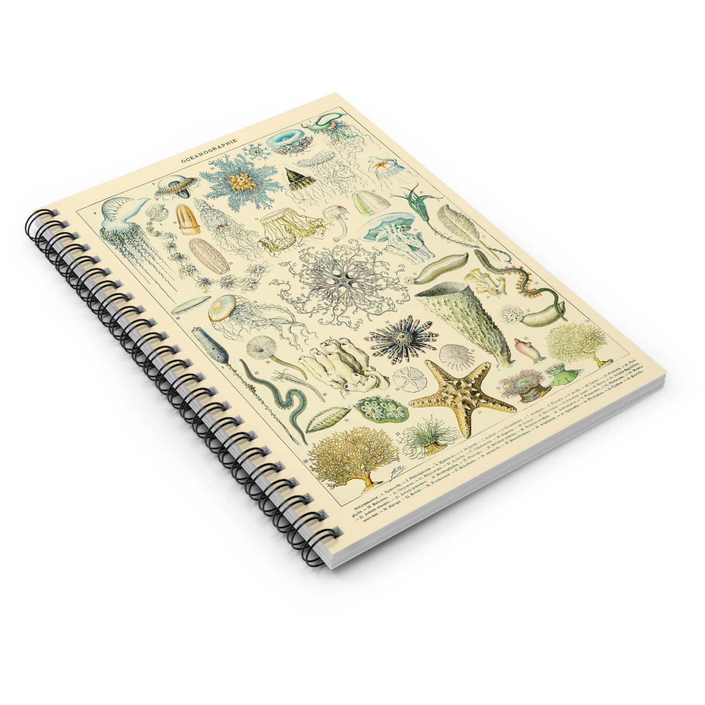 Jelly Fish Spiral Notebook Laying Flat on White Surface