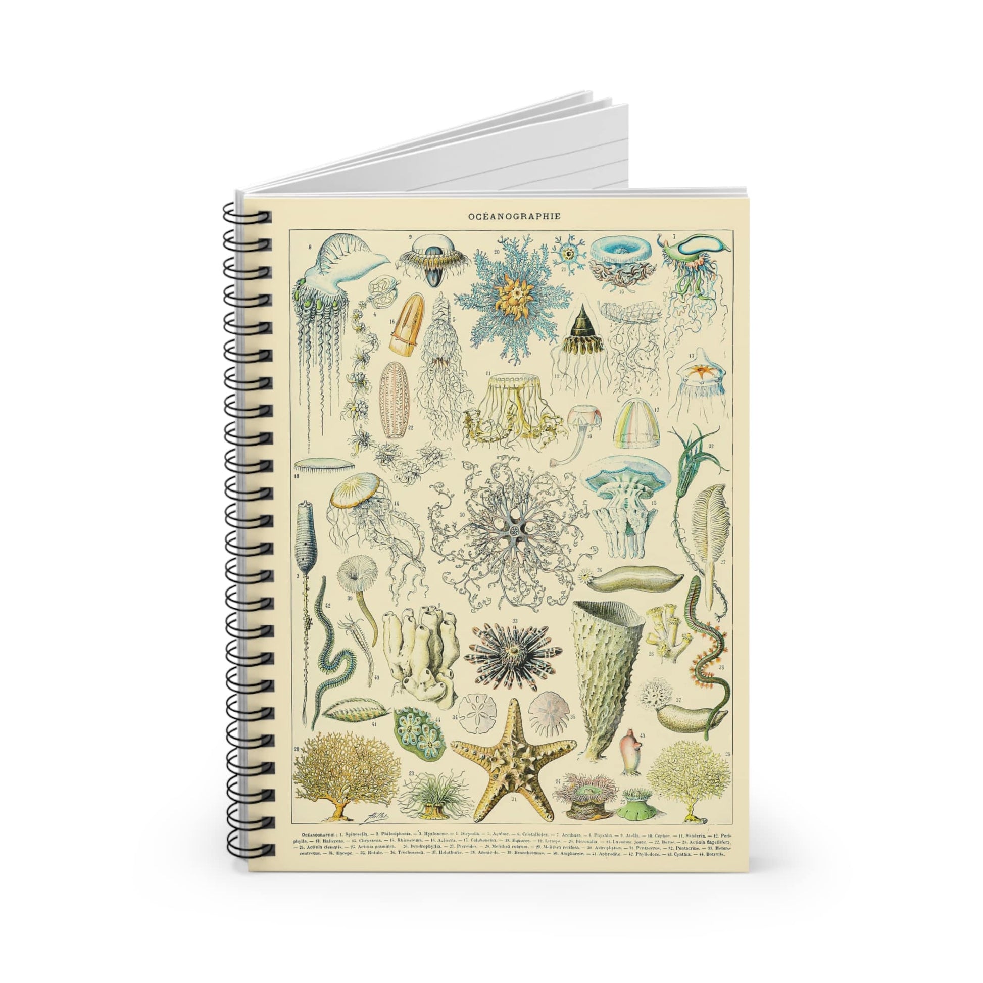 Jelly Fish Spiral Notebook Standing up on White Desk